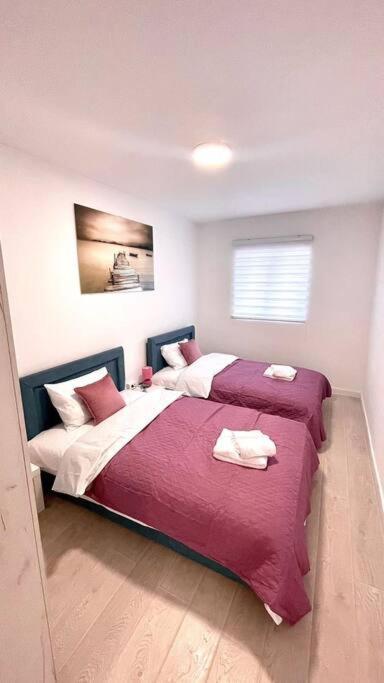 Apartman Dolcerosa 科托尔 外观 照片