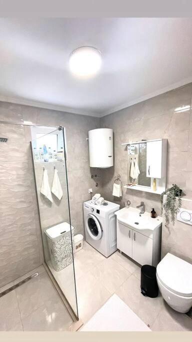 Apartman Dolcerosa 科托尔 外观 照片